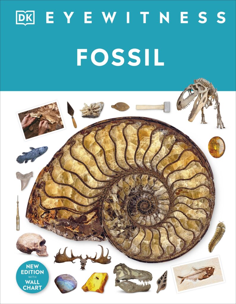 Eyewitness - Fossil <br>(DKEFO)