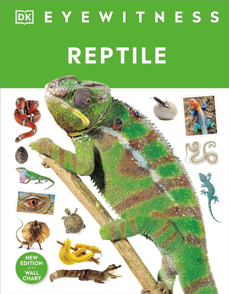 Eyewitness – Reptile<br>(DKER)