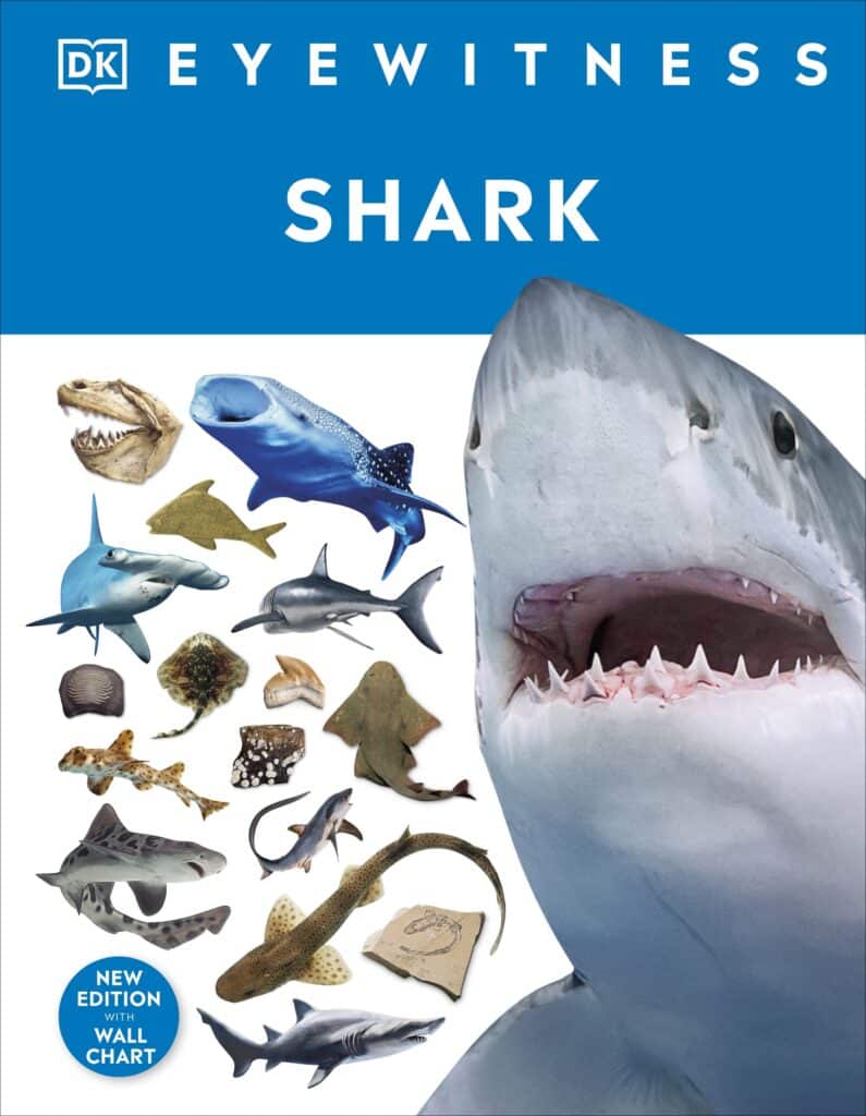 Eyewitness – Shark<br>(DKESHARK)